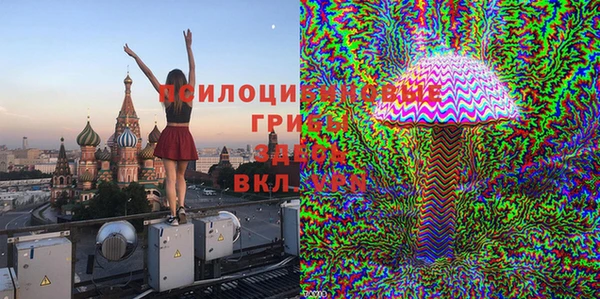 дживик Богданович