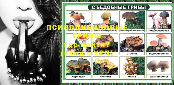 тгк Богородицк