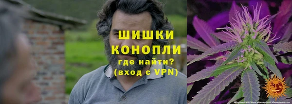 тгк Богородицк