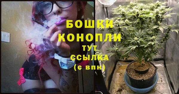 дживик Богданович