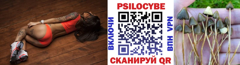 магазин продажи наркотиков Рубцовск Псилоцибиновые грибы мицелий